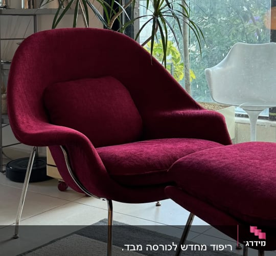 כורסה אדומה ליד חלון וצמח ירוק